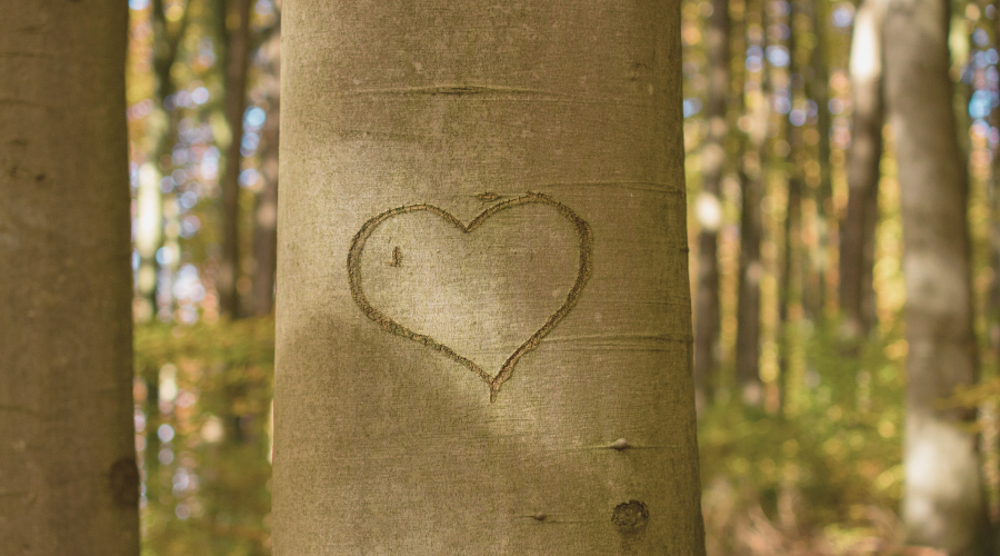 amour grave a vie bijou personnalise sensiry