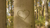 amour grave a vie bijou personnalise sensiry