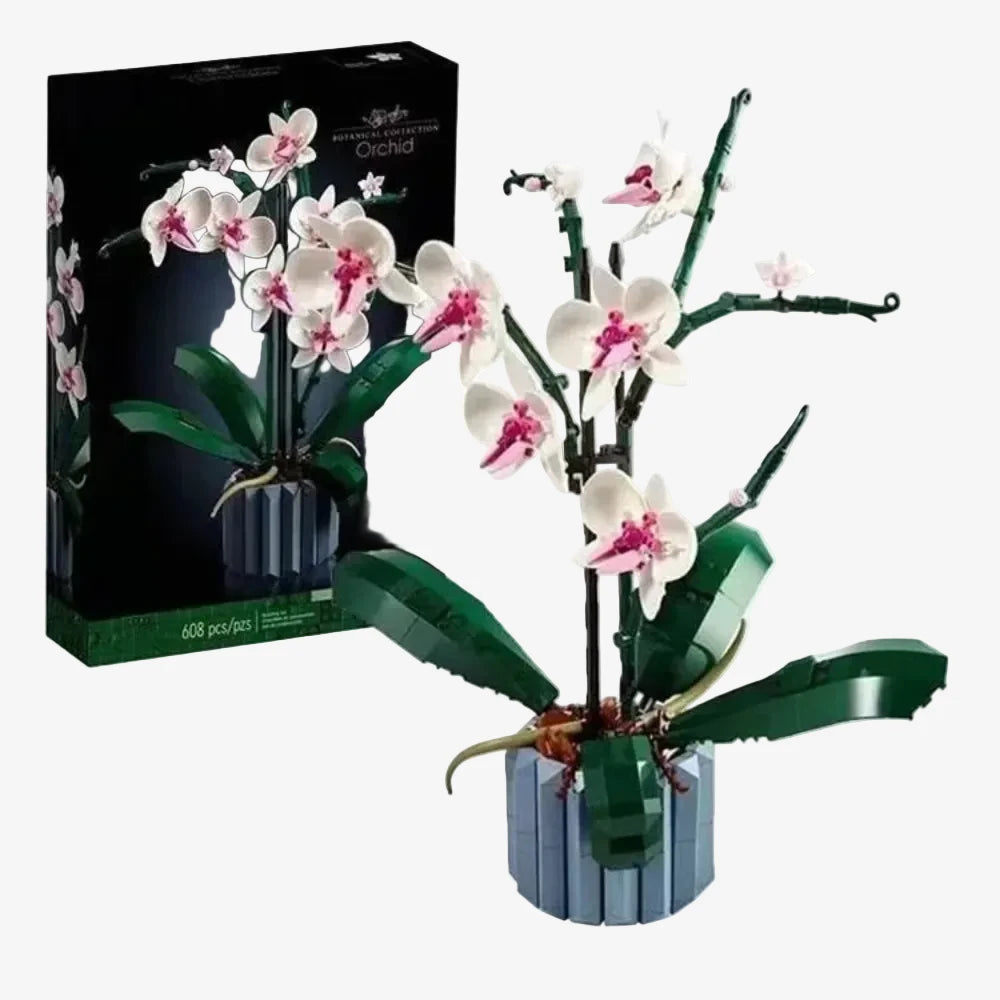 Bouquet de fleurs à construire : Orchidée 